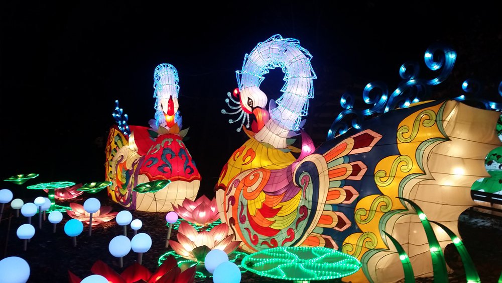 Ohio Chinese Lantern Festival returns for year No. 2 - CityScene Magazine