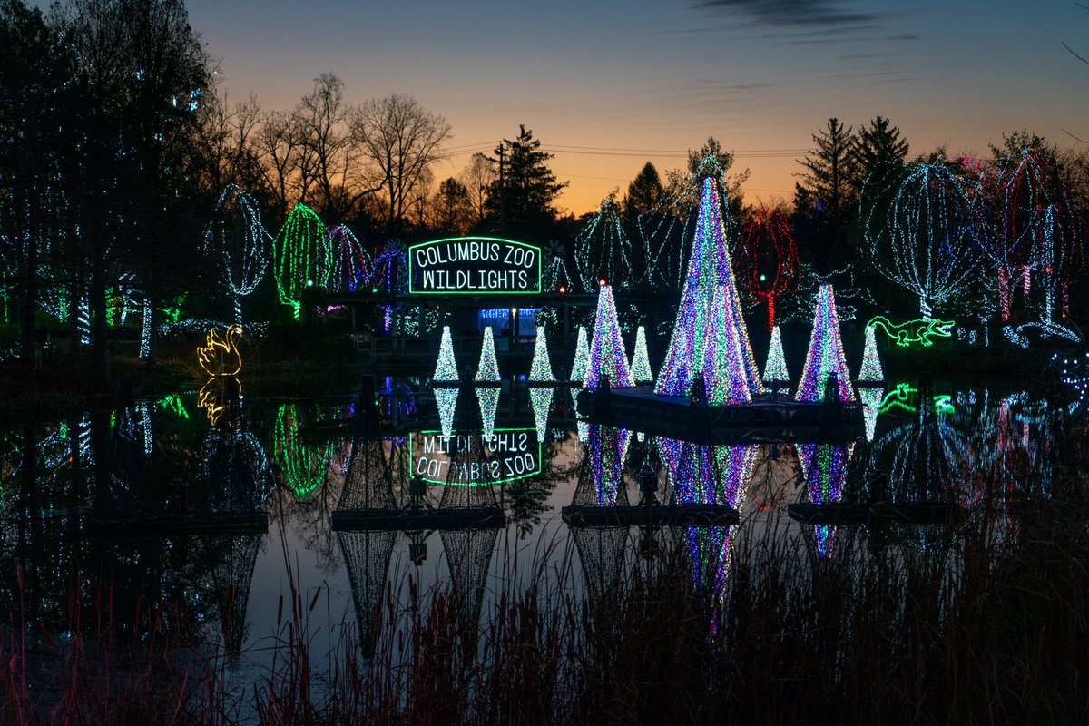 10 best Christmas light displays in Columbus, Ohio - Axios Columbus