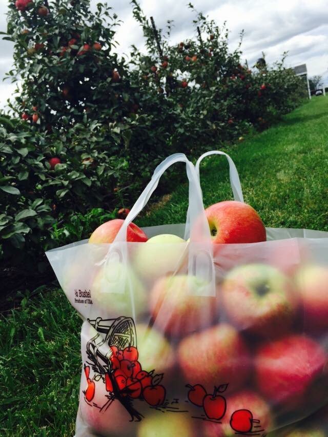 1/2 Bushel Single Handle Plastic Apple Tote Bags