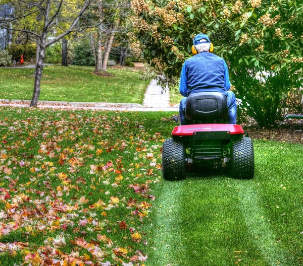 Mowing the Leaves.jpg