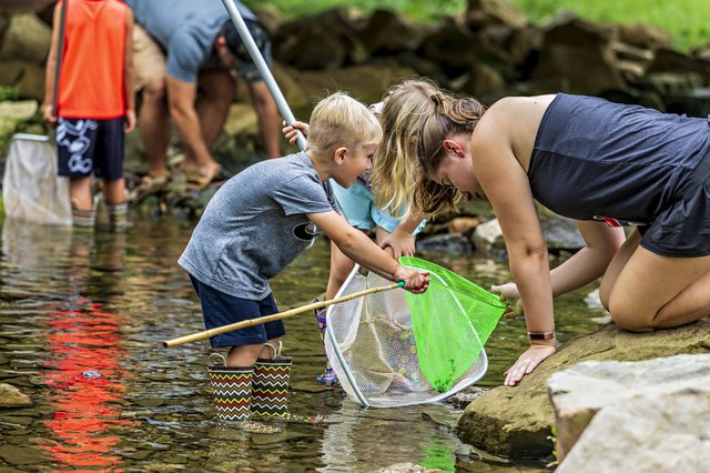 Families explore the creek at Rose Run Park - courtesy City of New Albany.jpg