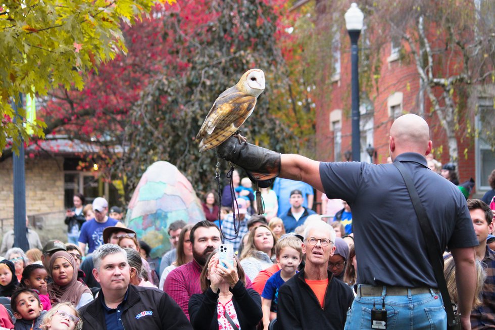 Wizards & Wands Festival 2023 - Westerville Public Library - photo credit Tamara Murray (2).jpg